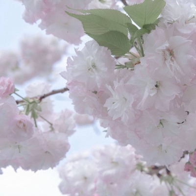 Furry插画光影营造兽圈社群